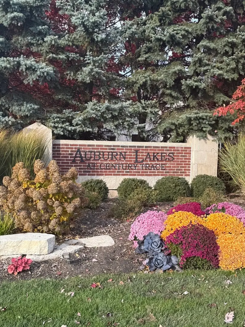 24944 W Franklin Lane, Plainfield, IL 60585 - #1