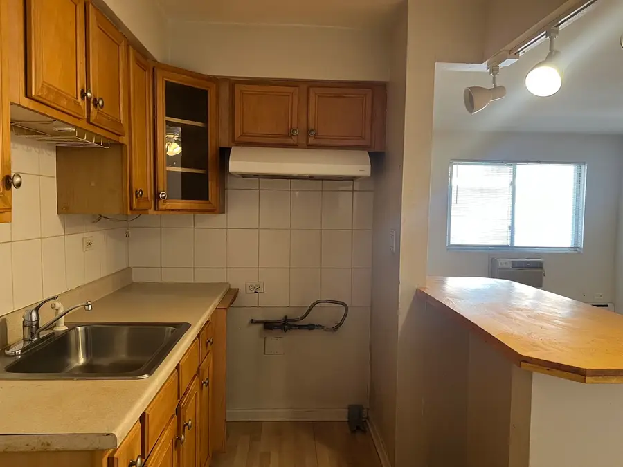 4602 River Road #B3, Schiller Park, IL 60176 - #3