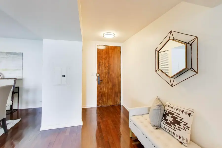 1212 N Lake Shore Drive #12BS, Chicago, IL 60610 - #3