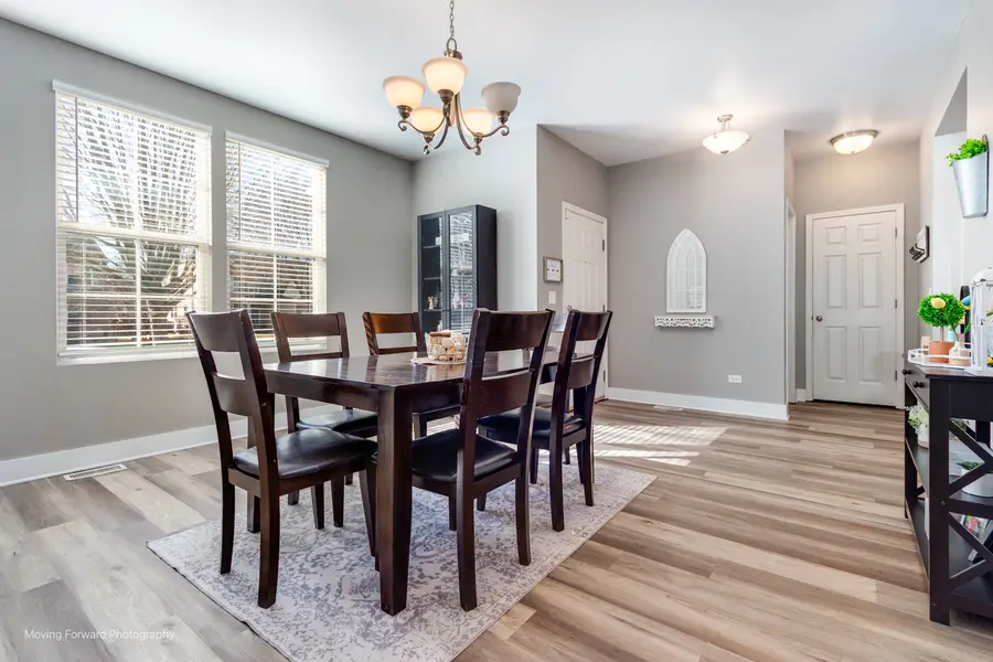 25420 W Springview Court, Plainfield, IL 60586 - #2