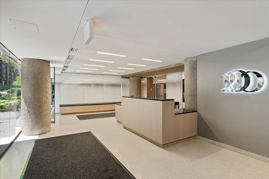 200 E Delaware Place #13C, Chicago, IL 60611 - #3