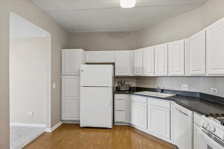 3100 Town Square Drive #308, Rolling Meadows, IL 60008 - #3