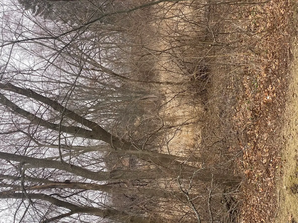 21177 N Valley Road, Kildeer, IL 60047 - #1