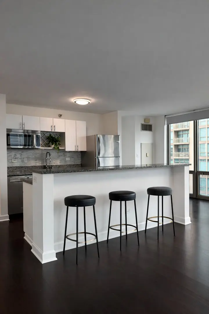 2 E Erie Street #2802, Chicago, IL 60611 - #3