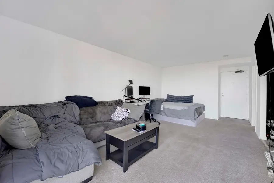 1555 N Dearborn Parkway #8c, Chicago, IL 60610 - #3