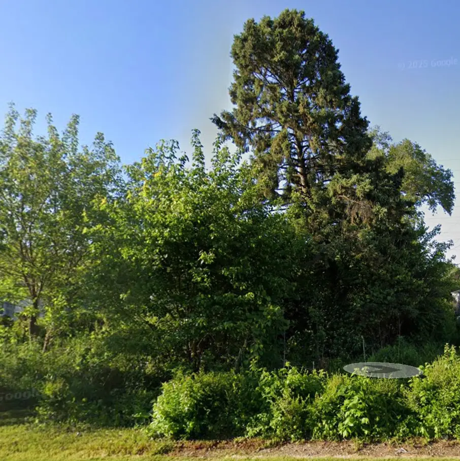 10 Edison Road, Joliet, IL 60433 - #1