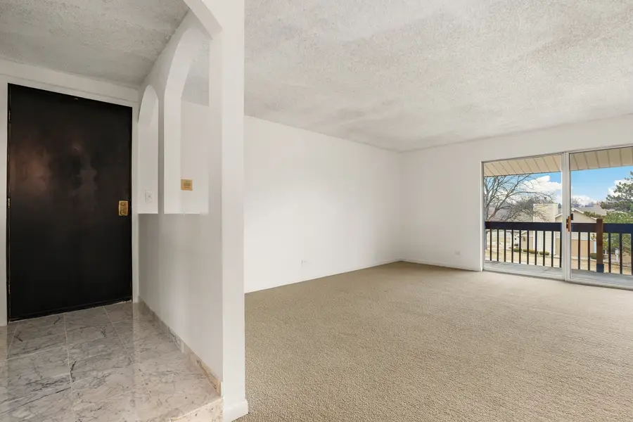 15705 Orlan Brook Drive #9, Orland Park, IL 60462 - #3