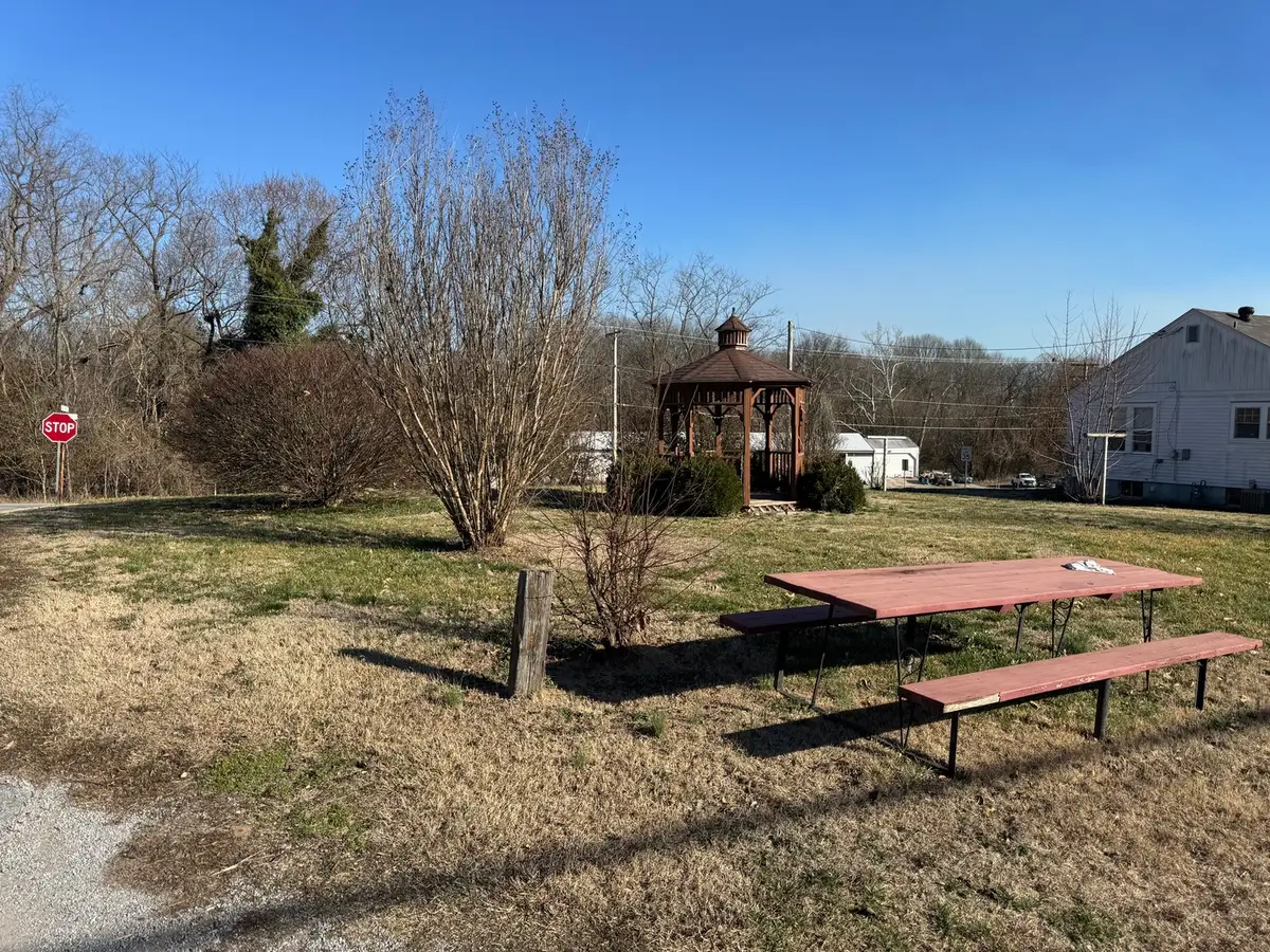 102 Grammer Street, Jonesboro, IL 62952 - #1