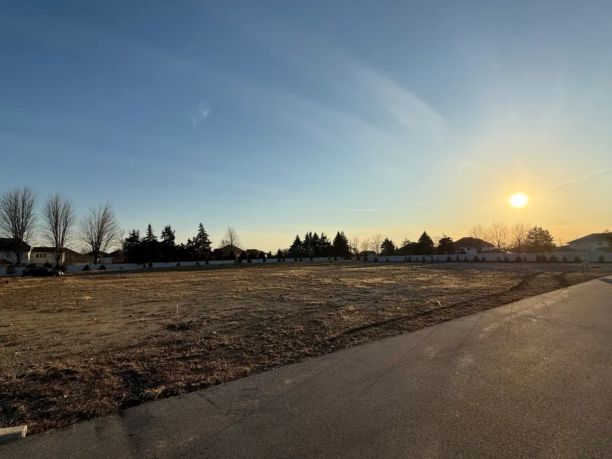 Lot 2 Laraway Road, Frankfort, IL 60423 - #1