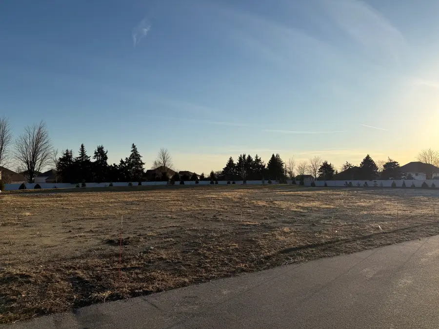 Lot 2 Laraway Road, Frankfort, IL 60423 - #2