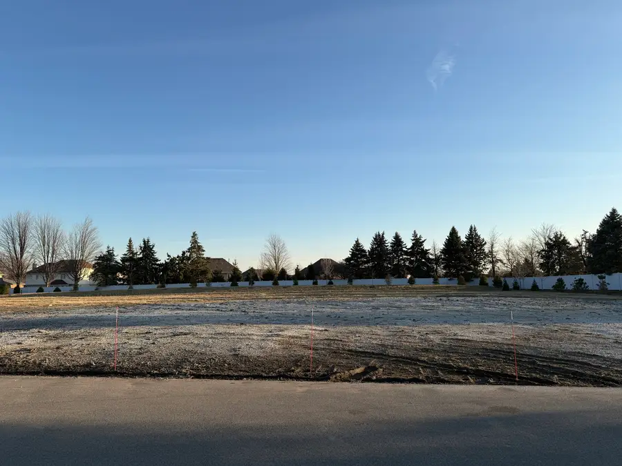 Lot 2 Laraway Road, Frankfort, IL 60423 - #3