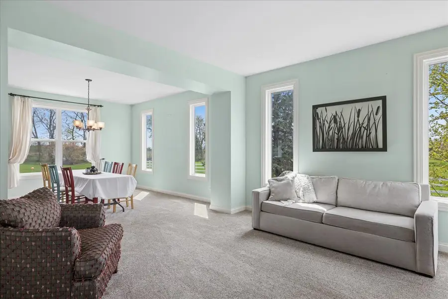 1107 Dolder Lane, Spring Grove, IL 60081 - #2