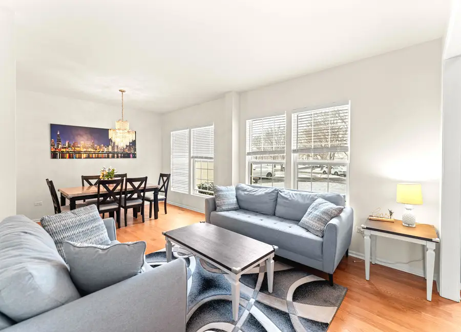 7 Pampas Court, Bolingbrook, IL 60490 - #3