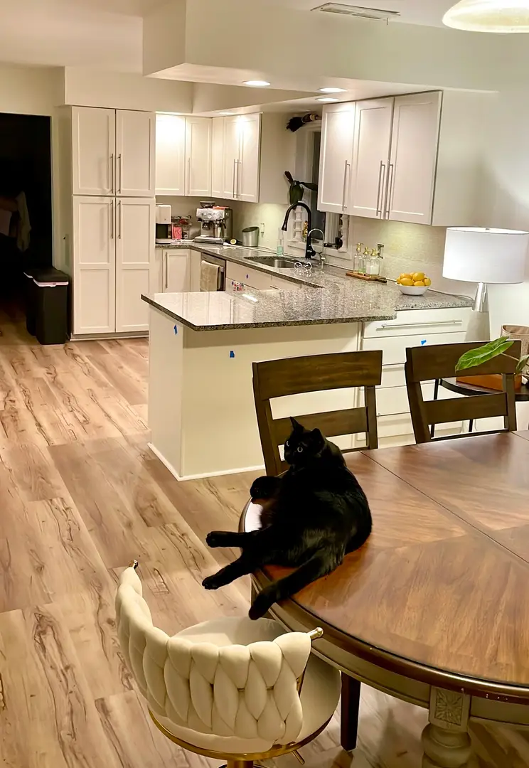 120 W Grandin Road, Morris, IL 60450 - #3