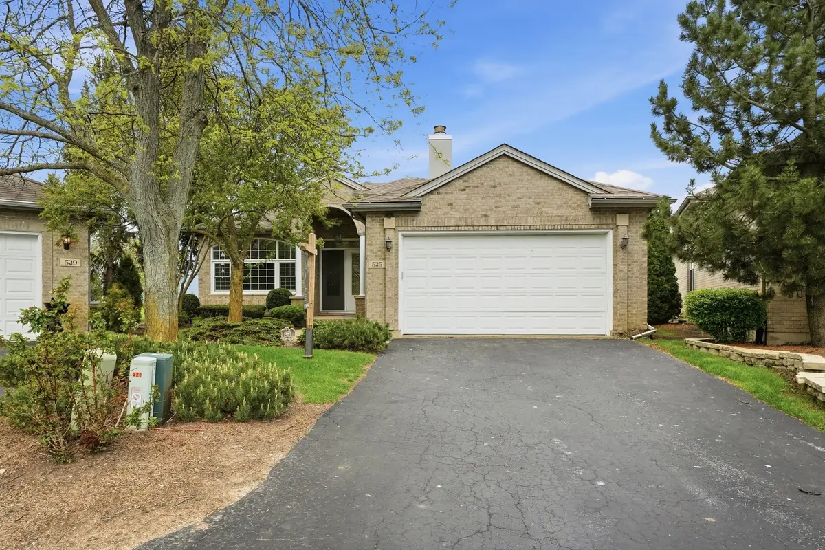 525 Highlington Court, Beecher, IL 60401 - #1