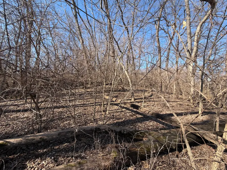 601 May Street, Le Claire, IA 52753 - #3