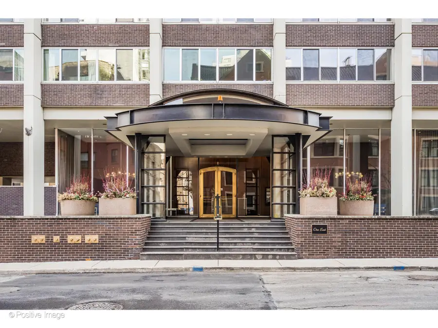 1 E Schiller Street #3C, Chicago, IL 60610 - #2