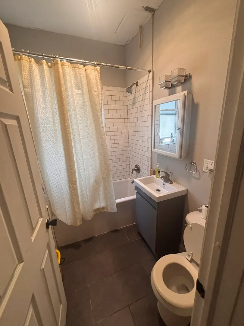 657 N Christiana Avenue, Chicago, IL 60624 - #3