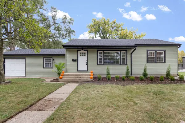 1142 N Webster Street, Naperville, IL 60563