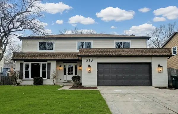 613 Zaininger Avenue, Naperville, IL 60563