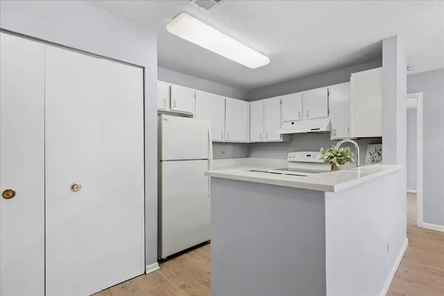 1911 N Hicks Road #103, Palatine, IL 60074 - #3