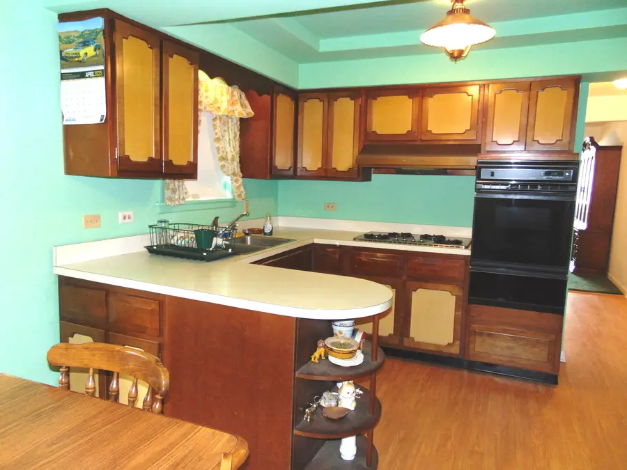 3044 N Kolmar Avenue, Chicago, IL 60641 - #2