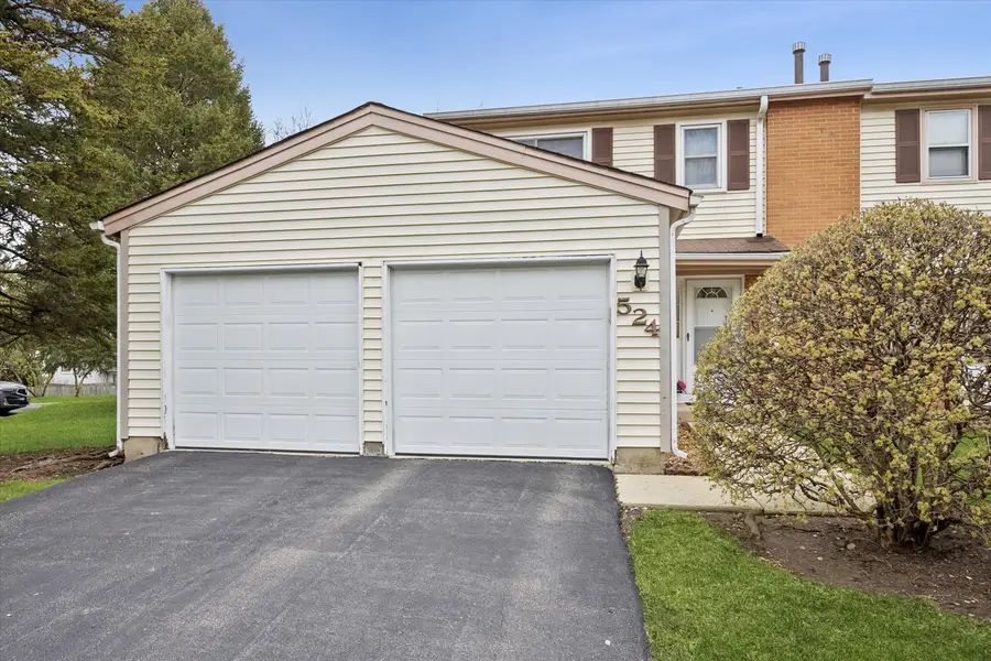 524 Monroe Road, Bolingbrook, IL 60440 - #3