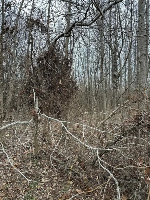 Lot 1 Pecan Road, Duquoin, IL 62832