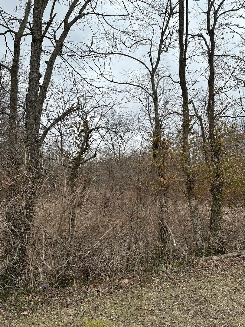 Lot 1 Pecan Road, Sunfield, IL 62832 - #3