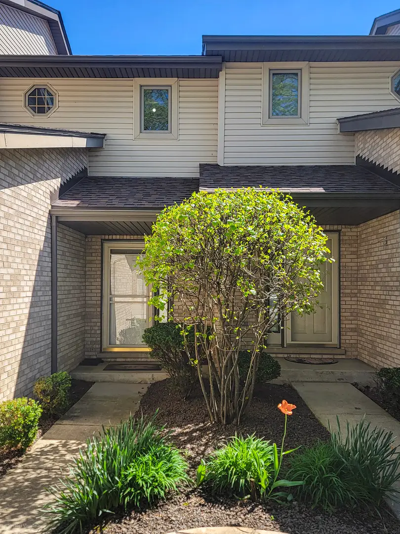 11127 Shenandoah Drive, Orland Park, IL 60467 - #2