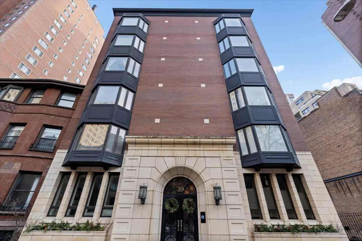 39 E Schiller Street #1E, Chicago, IL 60610 - #1