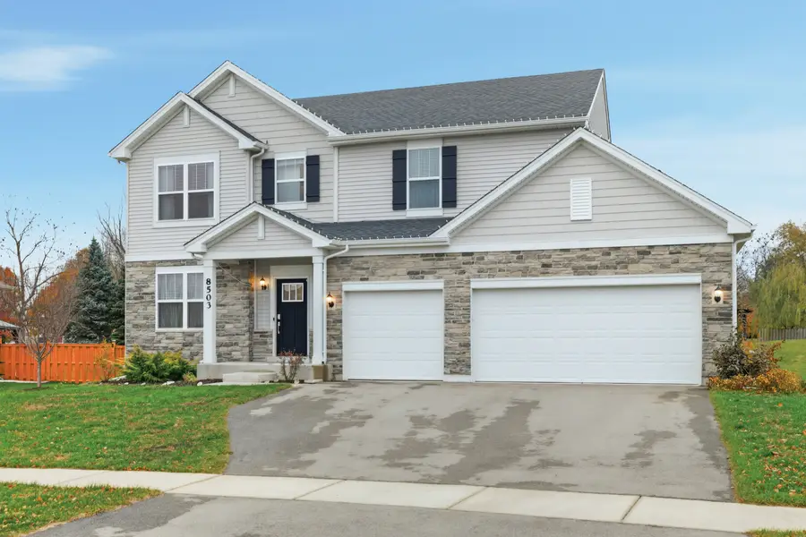 8503 Rosehall Drive, Joliet, IL 60431 - #2