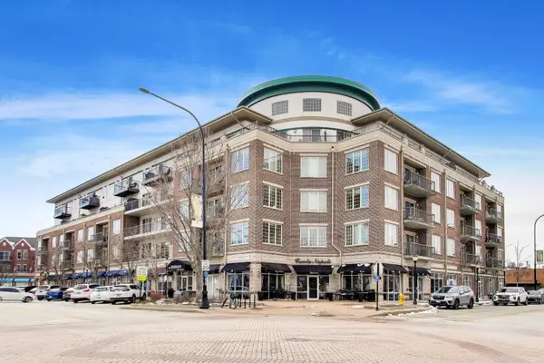 100 S Emerson Street #507, Mount Prospect, IL 60056