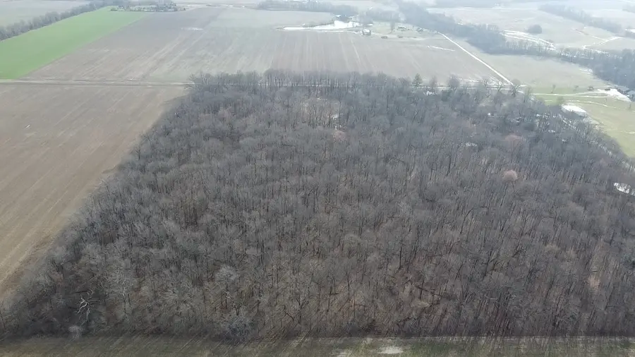 0 N Sparrow Lane, Mount Vernon, IL 62864 - #3