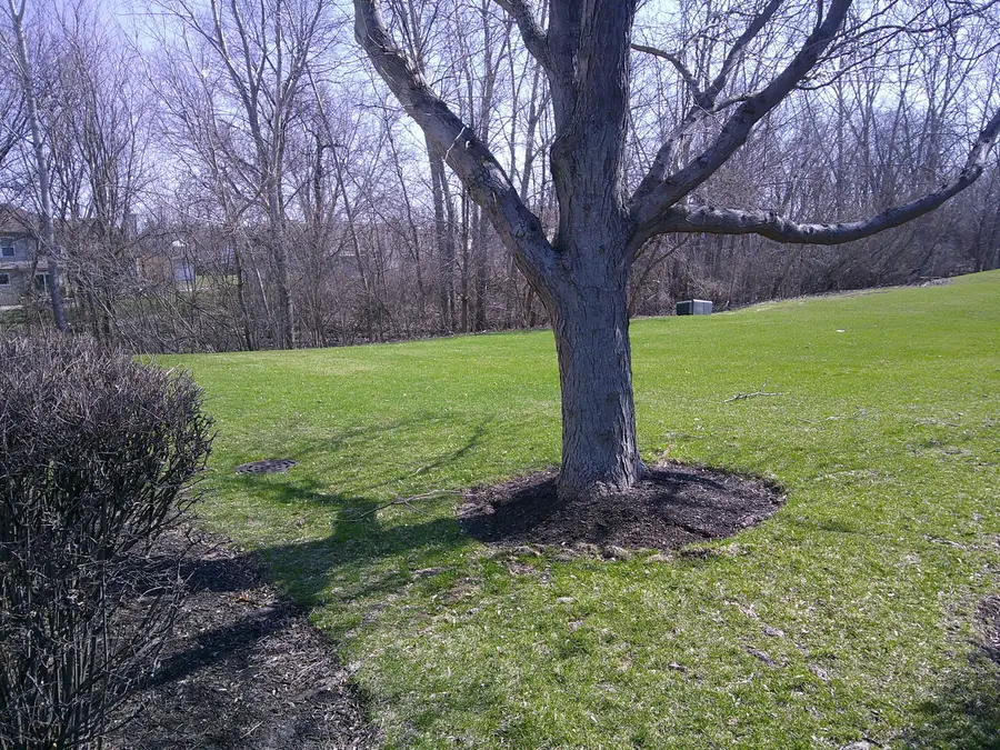 741 Meridian Court, Dekalb, IL 60115 - #2