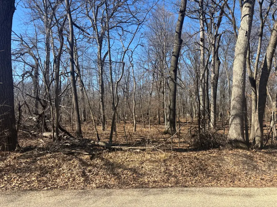 679 Rollingwood Place, Varna, IL 61375 - #3