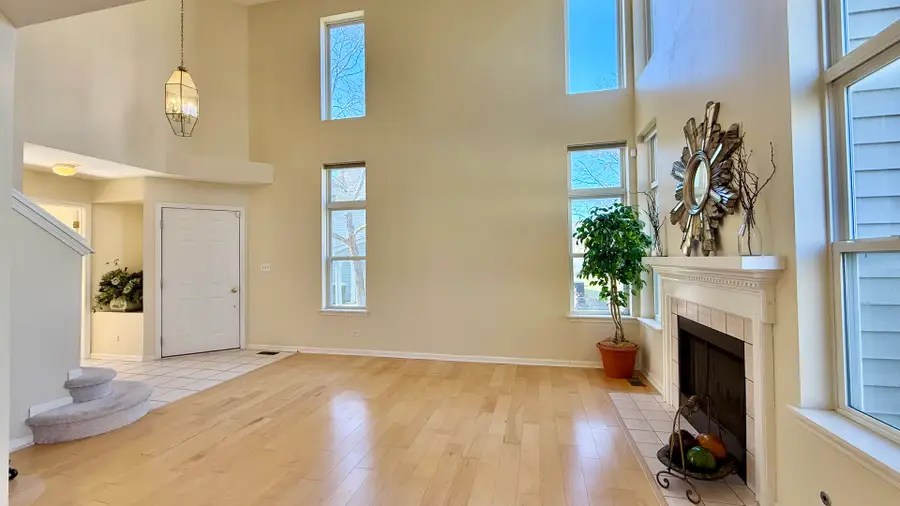 1560 E Baronet Lane, Palatine, IL 60074 - #3