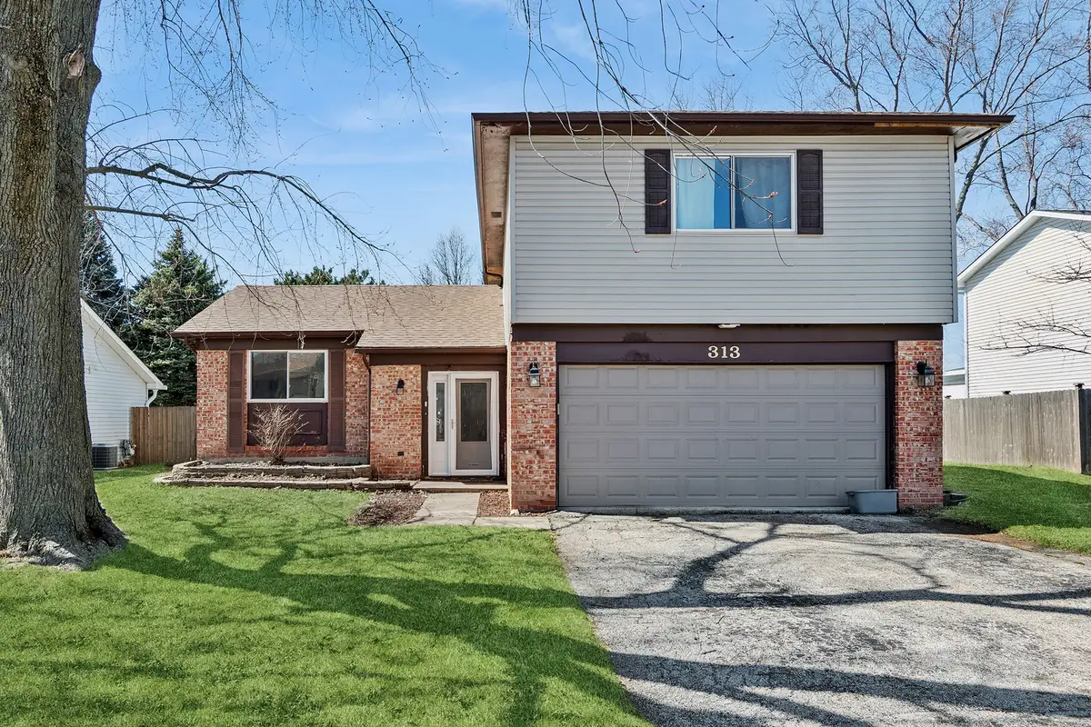 313 Thistle Drive, Bolingbrook, IL 60490 - #1