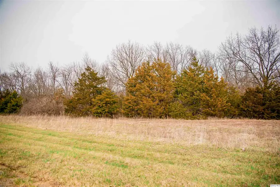 4617 Oakwood Dr, Quincy, IL 62305 - #2