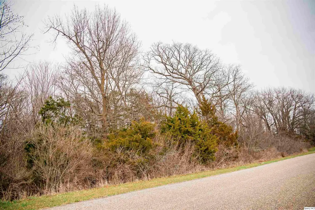 4823 Bitter Road, Quincy, IL 62305 - #1