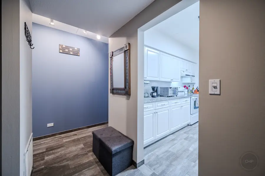 12900 W Heiden Circle #4204, Lake Bluff, IL 60044 - #2