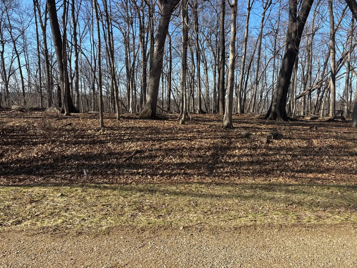 1784 Tanglewood Drive, Varna, IL 61375 - #1