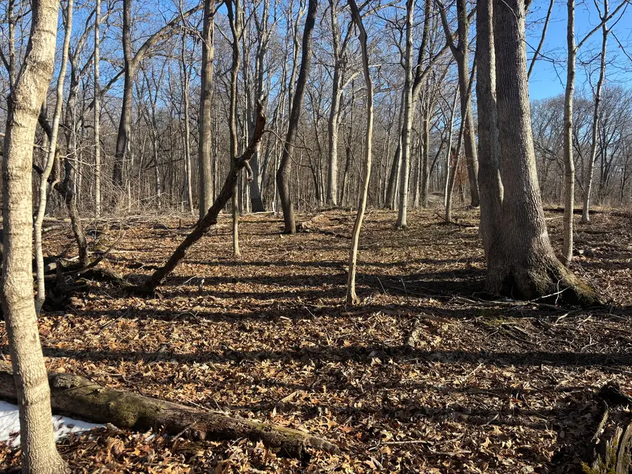 1784 Tanglewood Drive, Varna, IL 61375 - #2