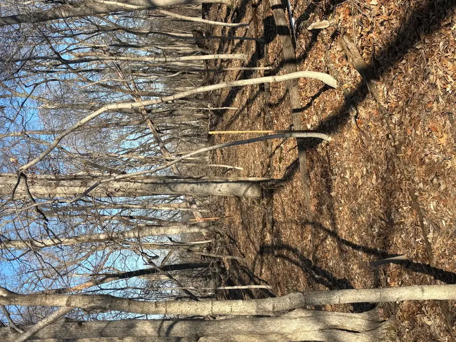 1784 Tanglewood Drive, Varna, IL 61375 - #3