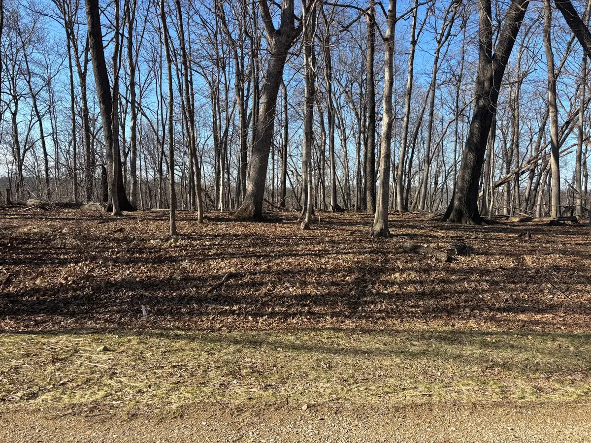 1783 Blueberry Drive, Varna, IL 61375 - #1