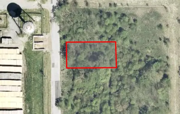 15313 S Wallace Avenue, South Holland, IL 60473