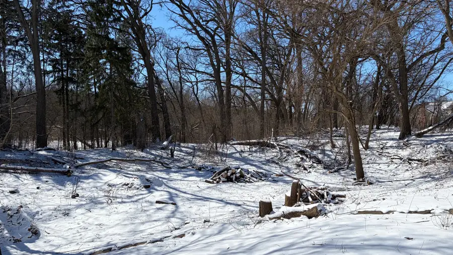 Lot 1 Asbury Avenue, Fox River Grove, IL 60021 - #2