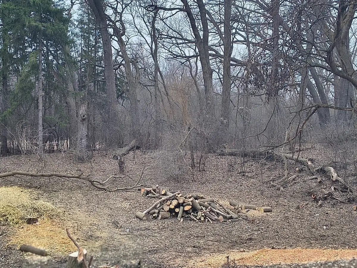 LOT 2 Asbury Avenue, Fox River Grove, IL 60021 - #1