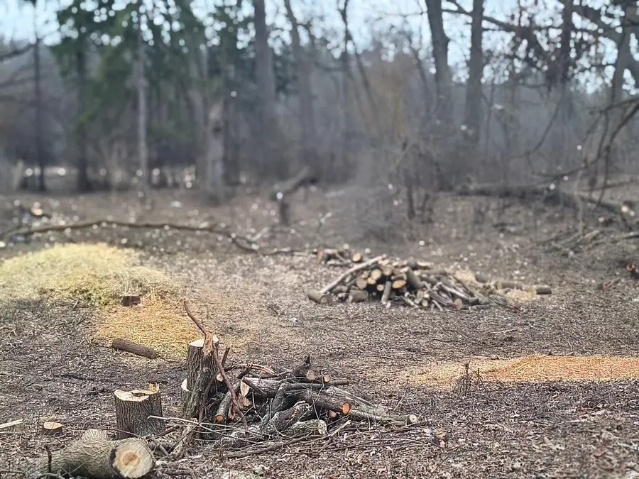 LOT 2 Asbury Avenue, Fox River Grove, IL 60021 - #3