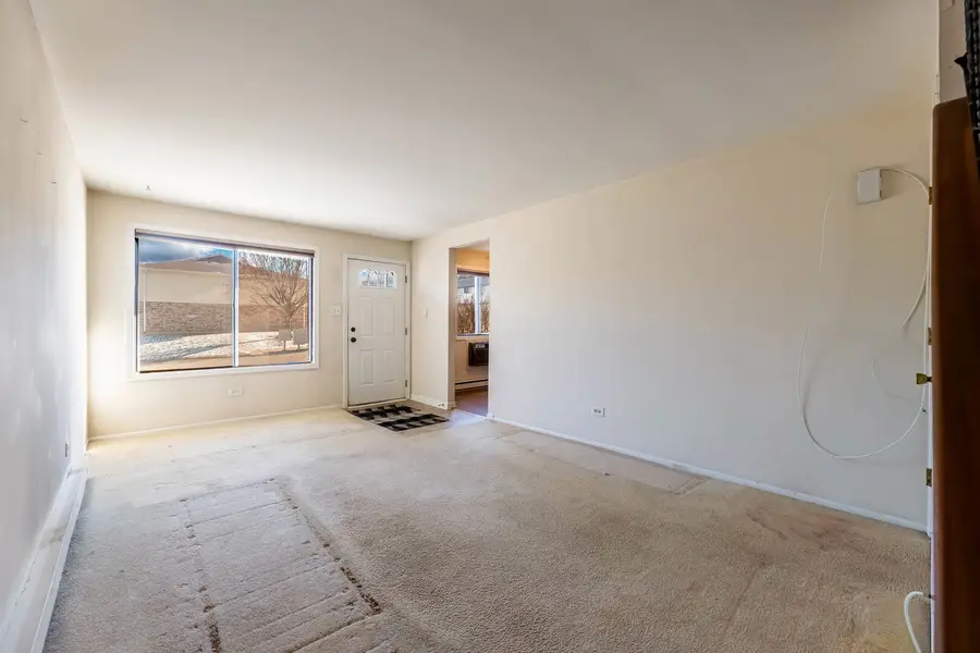 125 Willows Edge Court #C, Willow Springs, IL 60480 - #2